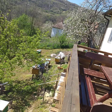 アパート породично газдинство вучићевић Porodicno Gazdinstvo Vucicevic