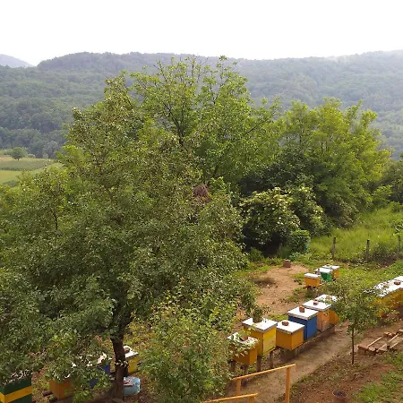 породично газдинство вучићевић Porodicno Gazdinstvo Vucicevic アパート *