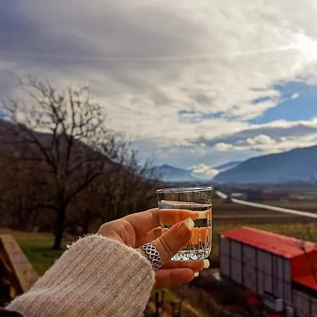 породично газдинство вучићевић Porodicno Gazdinstvo Vucicevic * Bacevci