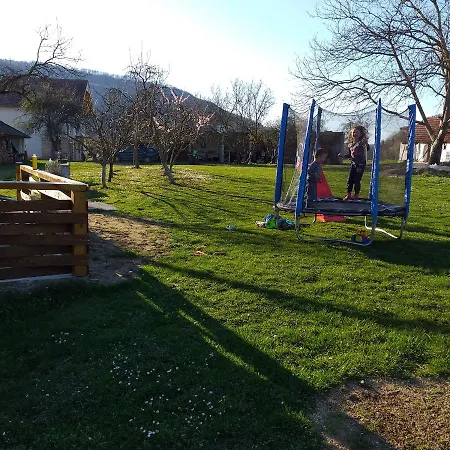 породично газдинство вучићевић Porodicno Gazdinstvo Vucicevic *