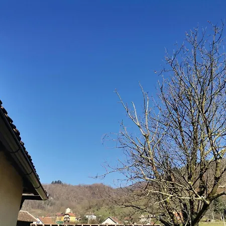 породично газдинство вучићевић Porodicno Gazdinstvo Vucicevic Bacevci