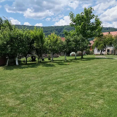 породично газдинство вучићевић Porodicno Gazdinstvo Vucicevic *