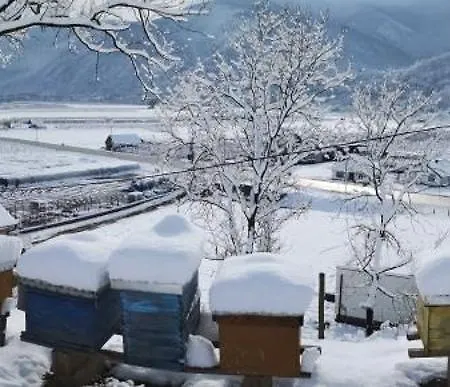 породично газдинство вучићевић Porodicno Gazdinstvo Vucicevic アパート *