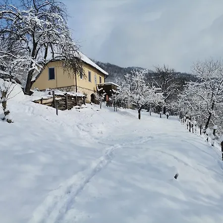 アパート породично газдинство вучићевић Porodicno Gazdinstvo Vucicevic Bacevci