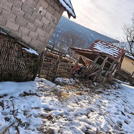 アパート породично газдинство вучићевић Porodicno Gazdinstvo Vucicevic Bacevci