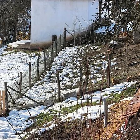 породично газдинство вучићевић Porodicno Gazdinstvo Vucicevic Bacevci