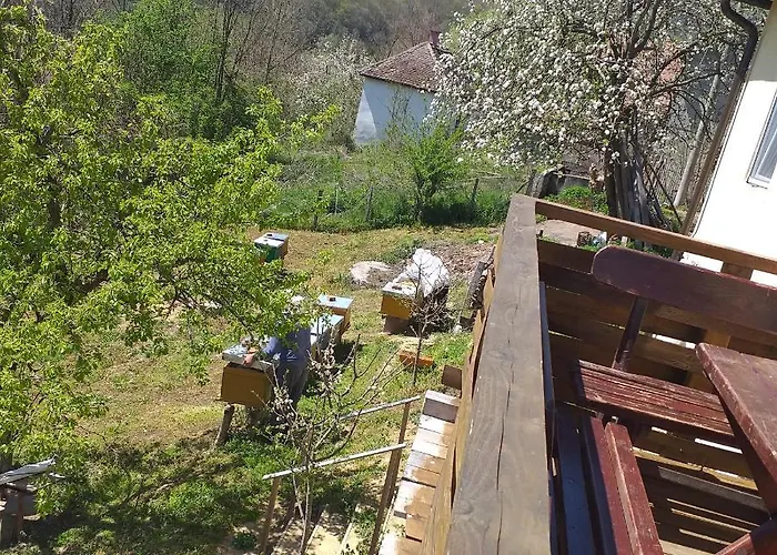 Lejlighed породично газдинство вучићевић Porodicno Gazdinstvo Vucicevic