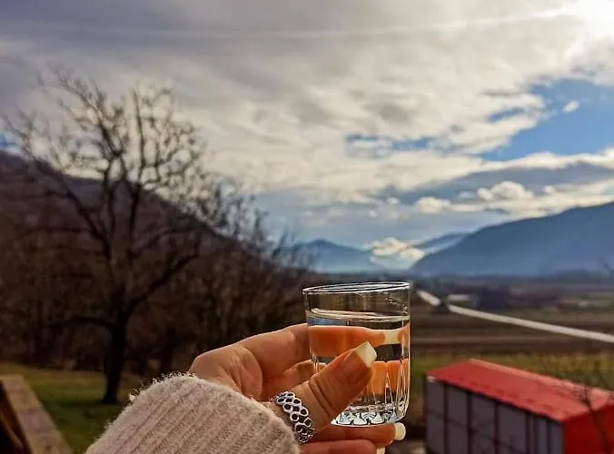 породично газдинство вучићевић Porodicno Gazdinstvo Vucicevic * Bacevci