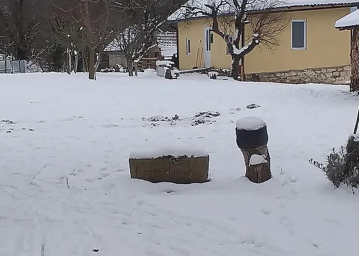 Lejlighed породично газдинство вучићевић Porodicno Gazdinstvo Vucicevic