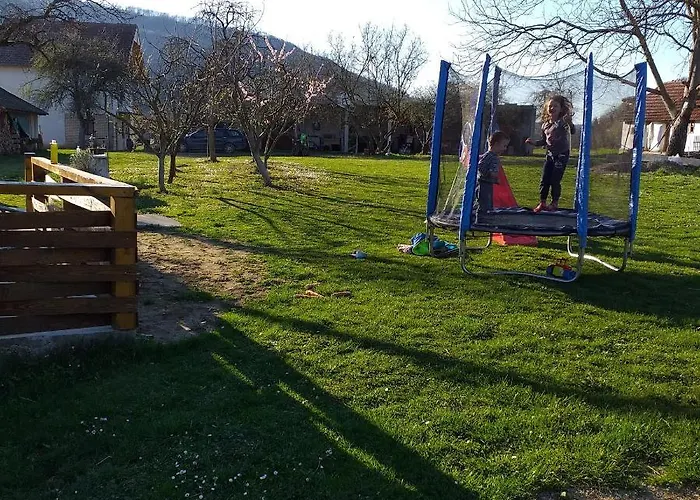 породично газдинство вучићевић Porodicno Gazdinstvo Vucicevic *