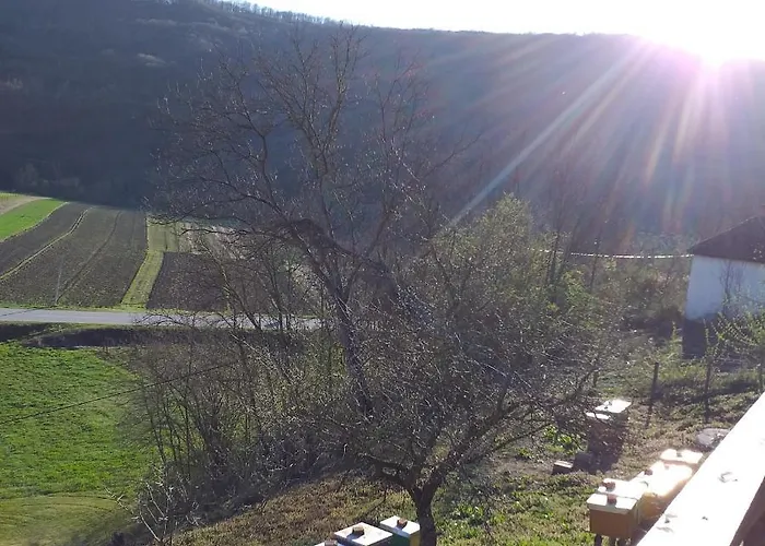 породично газдинство вучићевић Porodicno Gazdinstvo Vucicevic Bacevci