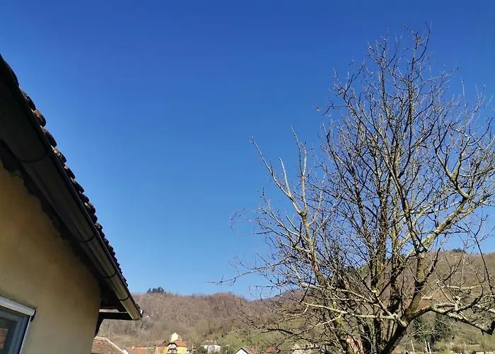 породично газдинство вучићевић Porodicno Gazdinstvo Vucicevic Bacevci