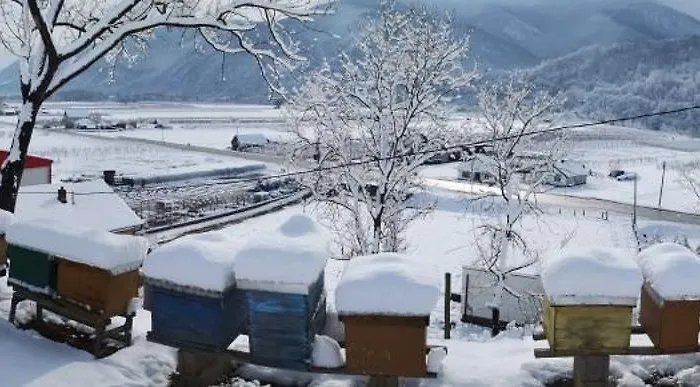 породично газдинство вучићевић Porodicno Gazdinstvo Vucicevic Lejlighed *