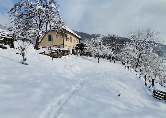 Lejlighed породично газдинство вучићевић Porodicno Gazdinstvo Vucicevic Bacevci