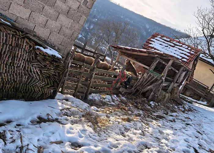 Lejlighed породично газдинство вучићевић Porodicno Gazdinstvo Vucicevic Bacevci